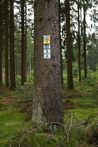 Mehlmeisel Rundwanderweg Jägersteig