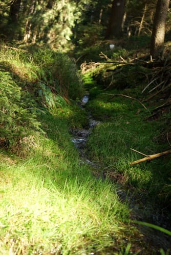 Mehlmeisel Rundwanderweg Jägersteig