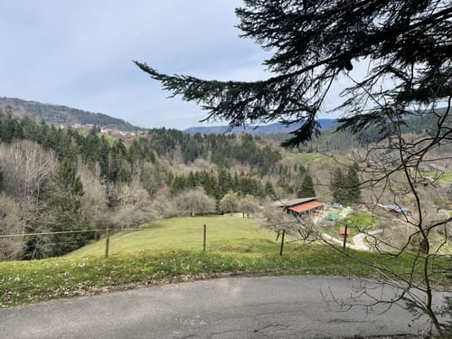 Birket-Kirren-Rundweg