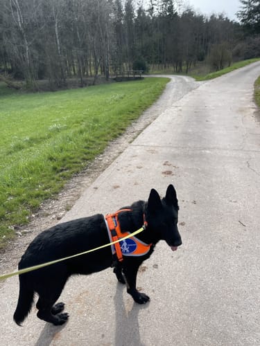 Milanweg Leutershausen