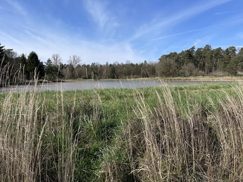 Milanweg Leutershausen