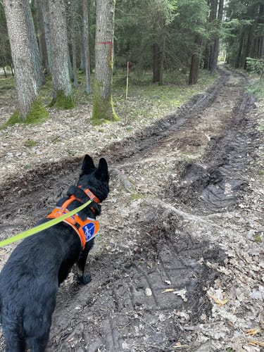 Milanweg Leutershausen