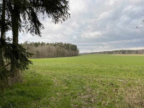 Eichhörnchenweg Leutershausen