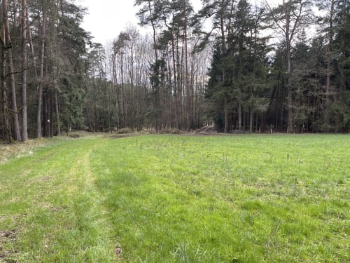 Eichhörnchenweg Leutershausen