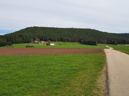 Schiltach nach Schramberg