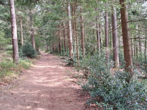 Schiltach nach Schramberg