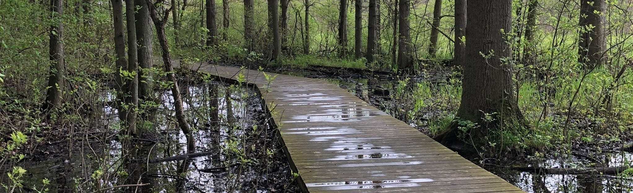 Bradner Preserve Loop Ohio AllTrails