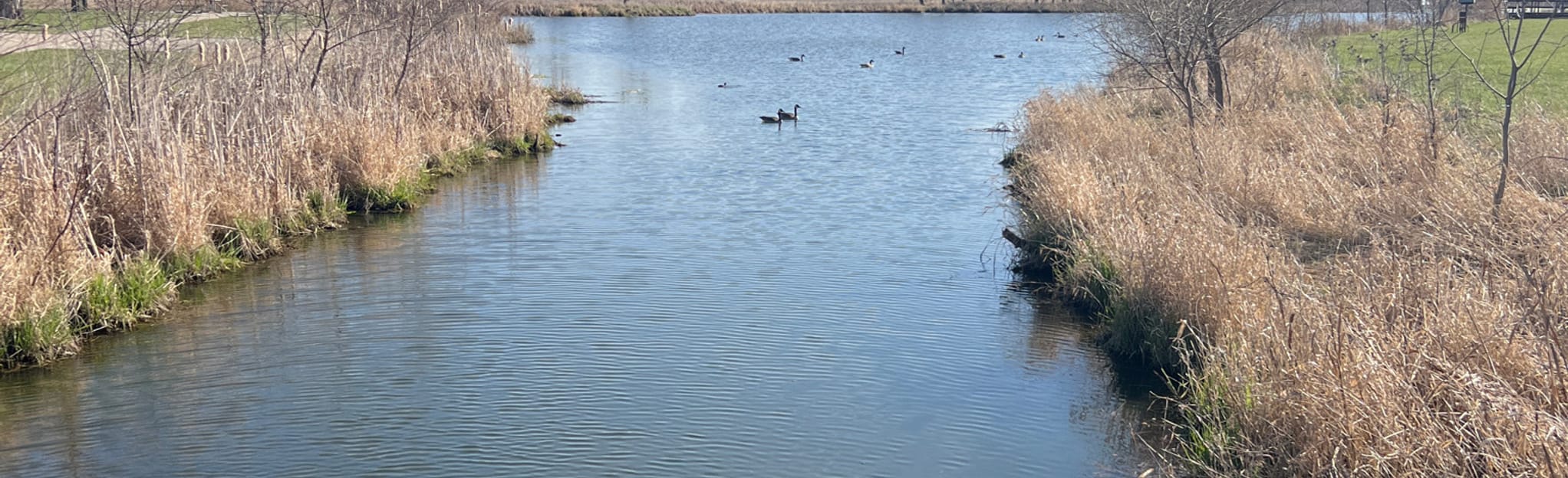 Oak Forest Heritage Preserve Loop, Illinois 206 Reviews, Map AllTrails