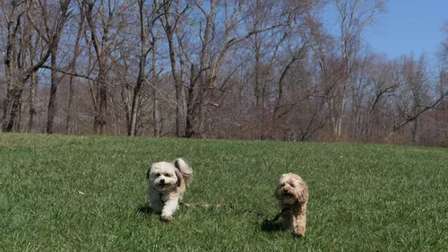 Best Hikes and Trails in H.E. Preston Nature Preserve | AllTrails