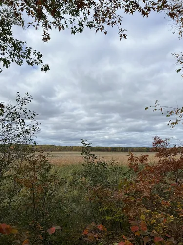 Best Hikes and Trails in Mille Lacs Kathio State Park AllTrails