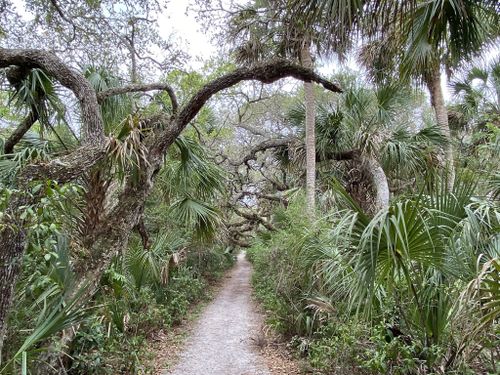 Photos of Castle Windy Trail - Florida