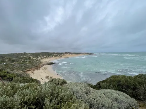 Robe les meilleurs randonn es avec une plage AllTrails