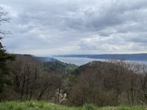 Premiumweg SeeGang Etappe 1: Überlingen - Sipplingen