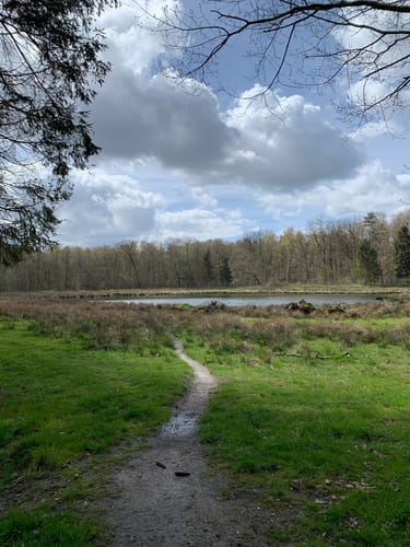 Runde bei Gangelt