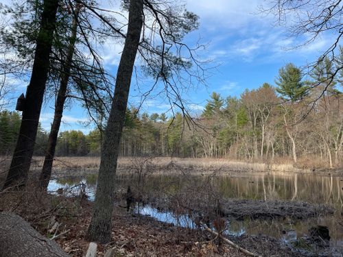 Best Hikes and Trails in Beaver Pond | AllTrails