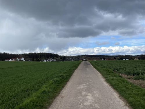 Rund um das Kleine und Große Arolser Holz
