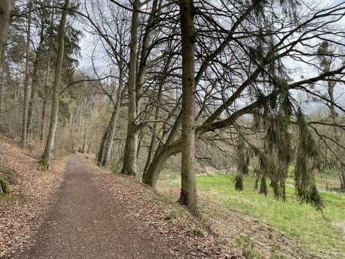 Rund um das Kleine und Große Arolser Holz