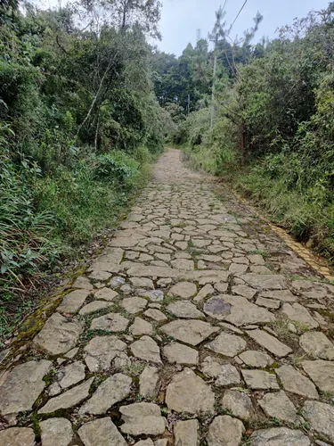 Jungle Trek, Multiday hike near Medellin