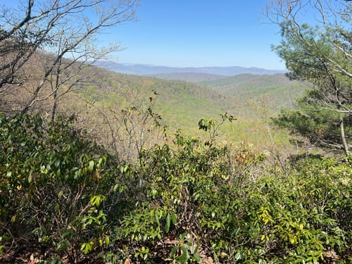 Best Hikes and Trails in Thunder Ridge Wilderness | AllTrails