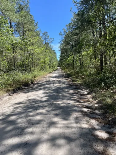 2023 Best Trail Running Trails in Winnabow AllTrails