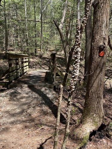 Best Hikes and Trails in Fonta - EyJidWNrZXQiOiJhc3NldHMuYWxsdHJhaWxzLmNvbSIsImtleSI6InVwbG9hZHMvcGhvdG8vaW1hZ2UvNTgzMjc1OTEvYzRiODgyMWE4OTU3MzNmNWRjY2E0YzFkODQxNDllMzUuanBnIiwiZWRpdHMiOnsidG9Gb3JtYXQiOiJqcGVnIiwicmVzaXplIjp7IndpZHRoIjo1MDAsImhlaWdodCI6NTAwLCJmaXQiOiJpbnNpZGUifSwicm90YXRlIjpudWxsLCJqcGVnIjp7InRyZWxsaXNRdWFudGlzYXRpb24iOnRydWUsIm92ZXJzaG9vdERlcmluZ2luZyI6dHJ1ZSwib3B0aW1pc2VTY2FucyI6dHJ1ZSwicXVhbnRpc2F0aW9uVGFibGUiOjN9fX0=