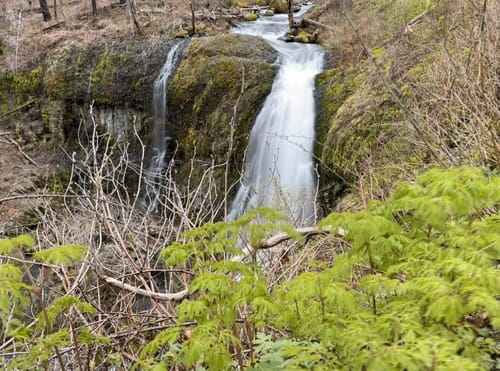 Best Hikes and Trails in John B Yeon State Scenic Corridor AllTrails