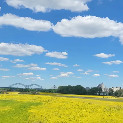 Best Hikes and Trails in Ducks Unlimited Park AllTrails