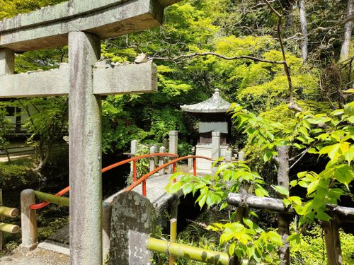 Photos of Kyoto Japan AllTrails