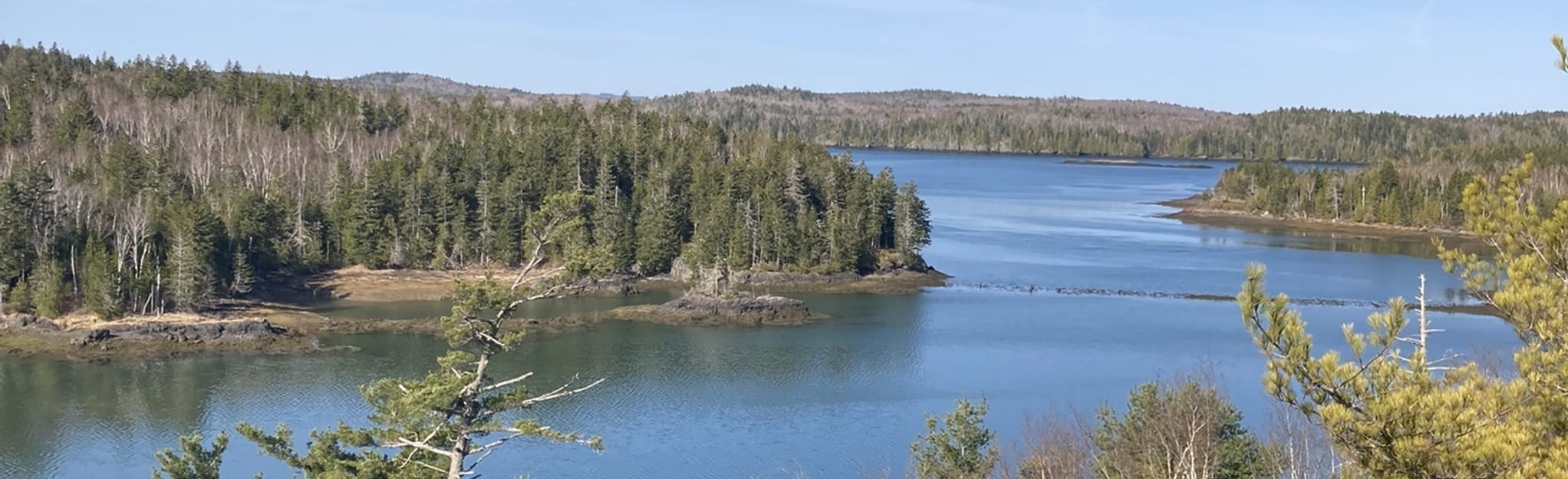 Klondike Mountain Trail 29 Reviews, Map Maine AllTrails