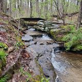 Bridal Veil Falls Trail, Tennessee - 557 Reviews, Map | AllTrails