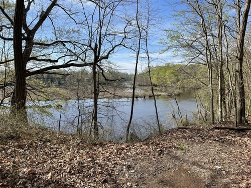 Best Hikes and Trails in Mount Laurel Township | AllTrails