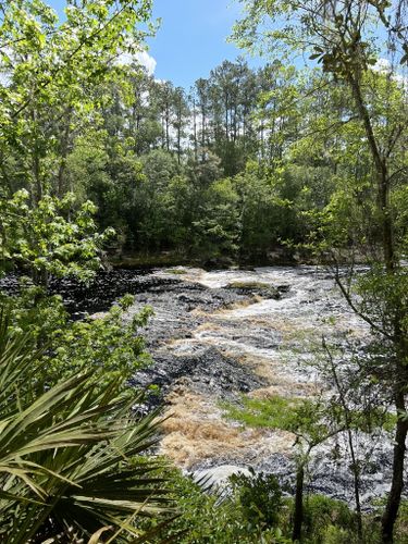 2023 Best Views Trails In Big Shoals State Park | AllTrails