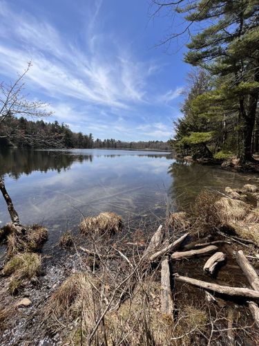 10 Best Hikes and Trails in Hudson Highlands State Park Preserve