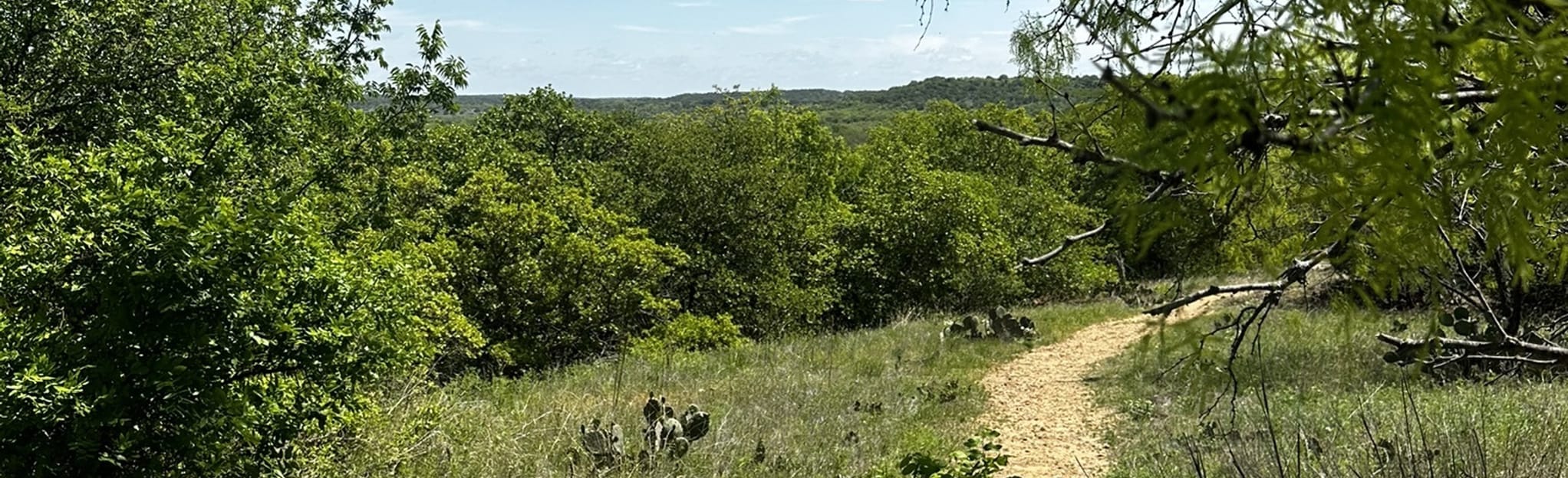 The Old Zoo Nature Trail 123 Reviews, Map Texas AllTrails