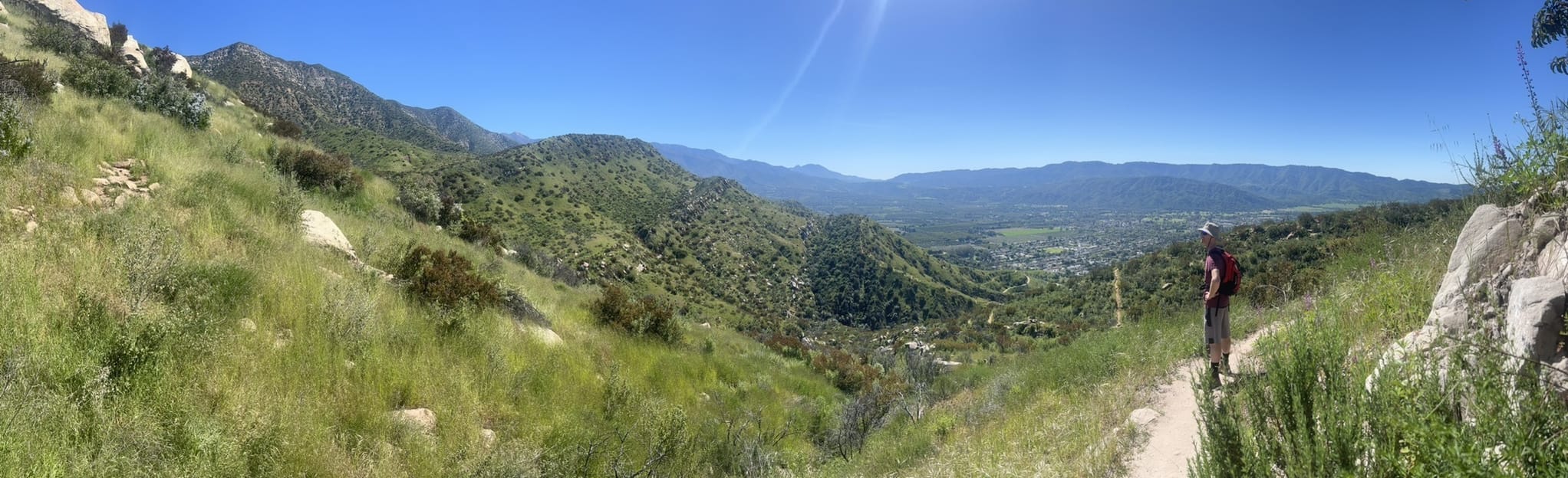 Fox Canyon, Foothill, and Luci's Trails Loop, California 708 Reviews