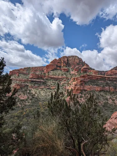 Wildlife of the Coconino National Forest - Owlcation