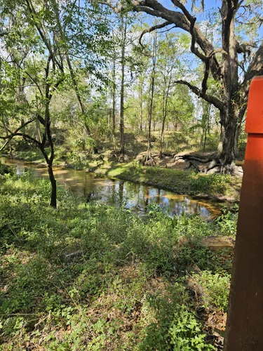 10 Best Trails and Hikes in Lakeland | AllTrails