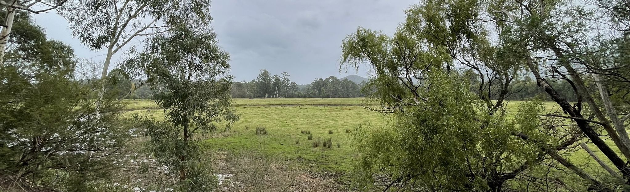 Warburton Rail Trail Woori Yallock To Launching Place 15 Reviews Map Victoria Australia