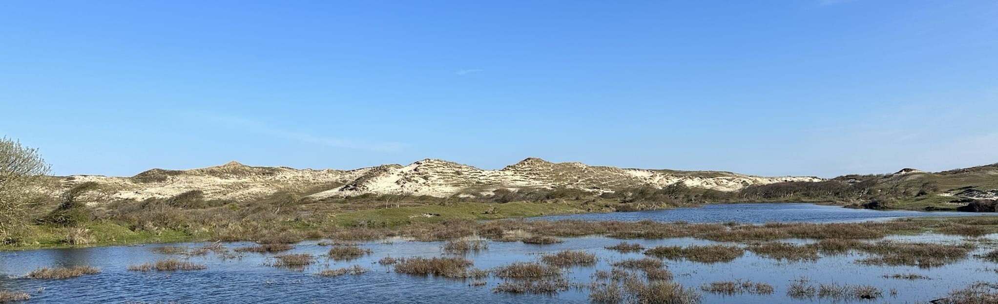 Trage Tocht Egmond aan den Hoef, North Holland, Netherlands 8 Reviews, Map AllTrails