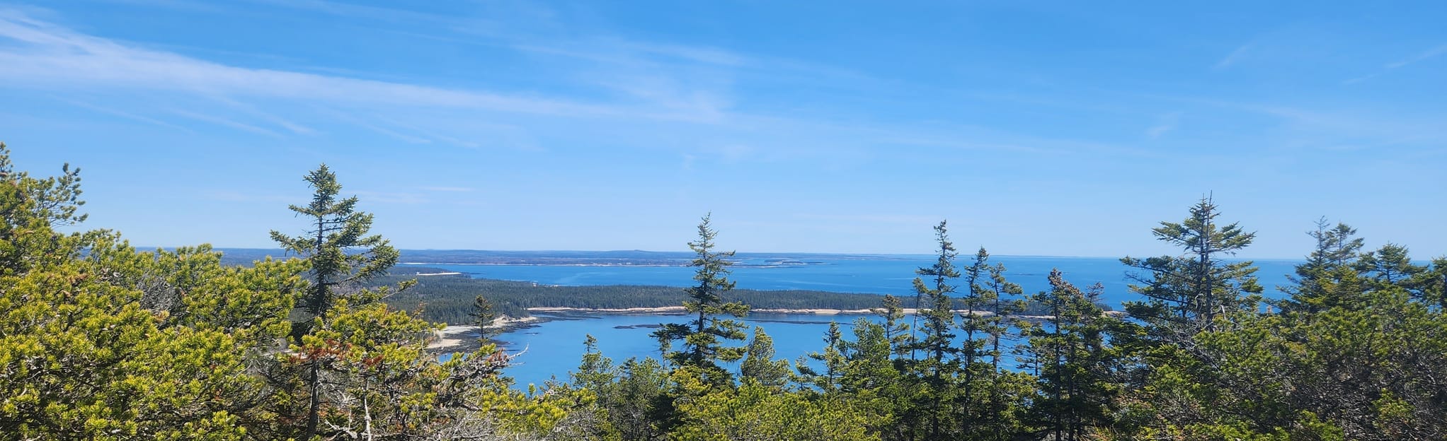 AllTrails Schoodic Head and Buck Cove Mountain Trail 226 Reviews