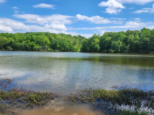 Best Hikes and Trails in DeSoto State Park | AllTrails