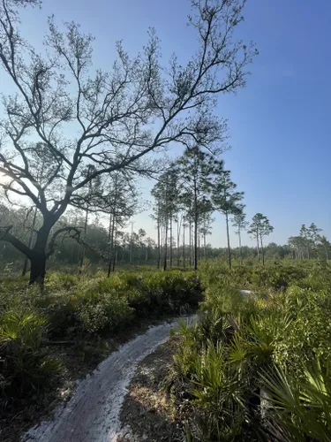 Best Hikes And Trails In Jay B. Starkey Wilderness Park | AllTrails