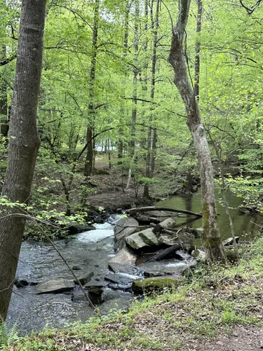 Best Hikes and Trails in Tryon | AllTrails