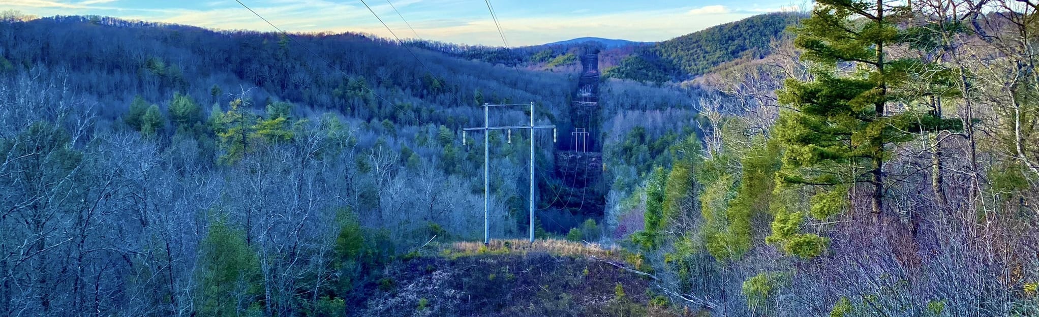 Licklog Ridge to Rough Creek Trail 1 Reviews, Map Tennessee AllTrails