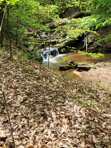 Best Hikes and Trails in East Roswell Park | AllTrails