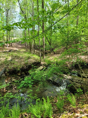 Best Hikes and Trails in East Roswell Park | AllTrails