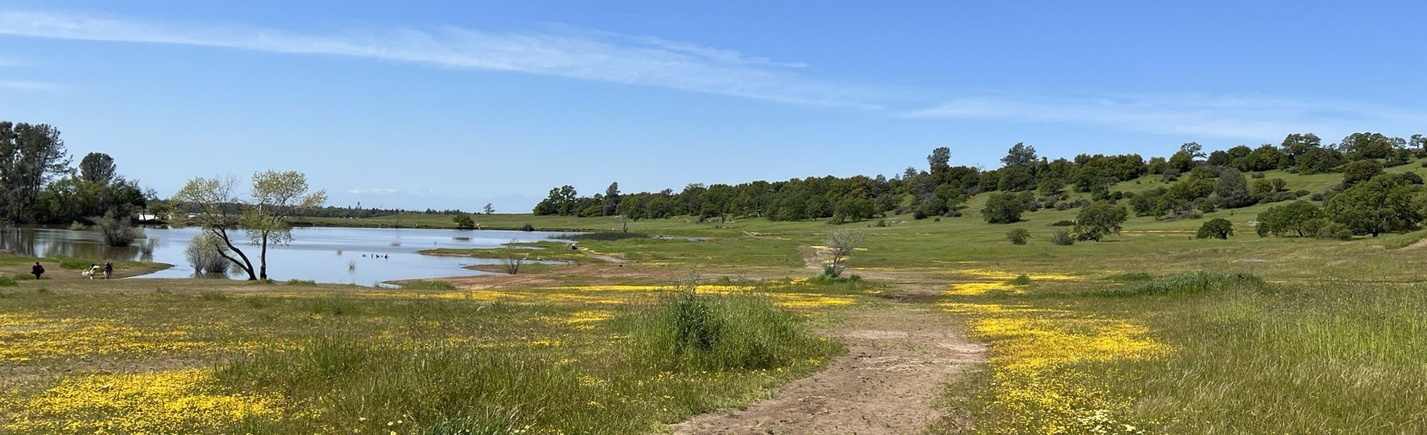 Upper Bidwell North Rim To B Trail Loop: 226 Reviews, Map - California ...