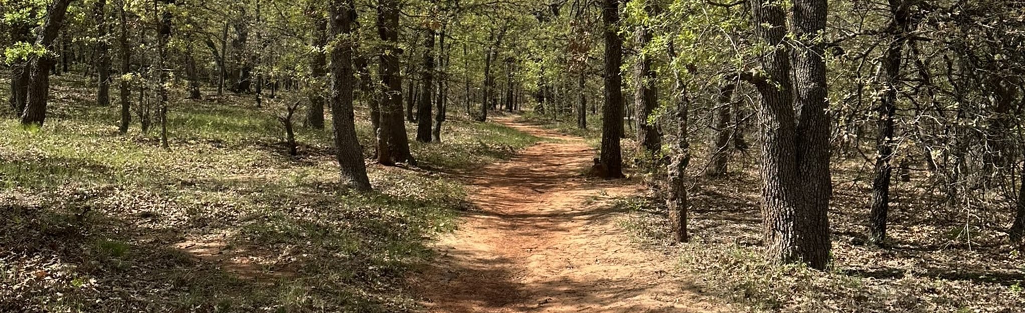 Indian Point Hiking Trail, Oklahoma - 152 Reviews, Map | AllTrails