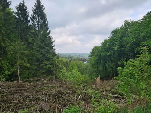 Hungenbach Runde
