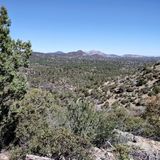 Prescott Circle Trail: Segment 04, Arizona - 338 Reviews, Map | AllTrails